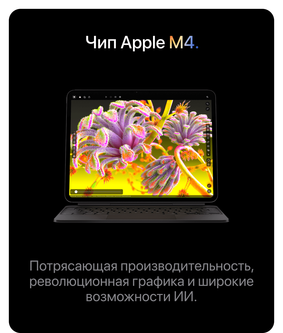 Apple iPad Pro M4 (2024) 13" дюймов, wi-fi, 512 Гб, Чёрный космос (Без RuStore) - 10