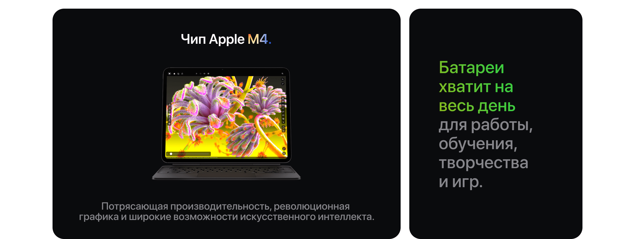 Apple iPad Pro M4 (2024) 13" дюймов, wi-fi, 512 Гб, Чёрный космос (Без RuStore) - 3