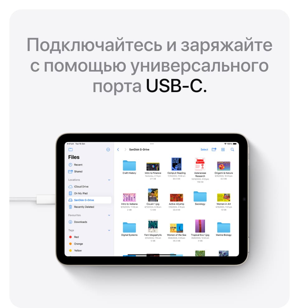 Apple iPad mini A17 Pro (2024), wi-fi+cellular, 512 Гб, Голубой (Без RuStore) - 19