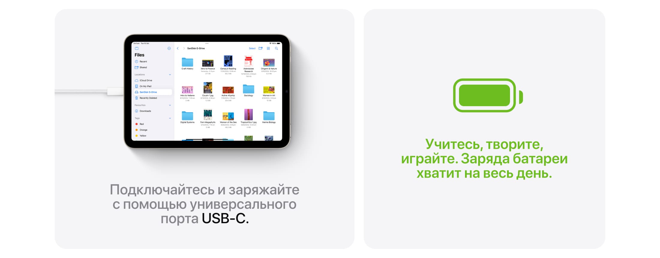Apple iPad mini A17 Pro (2024), wi-fi+cellular, 512 Гб, Голубой (Без RuStore) - 8