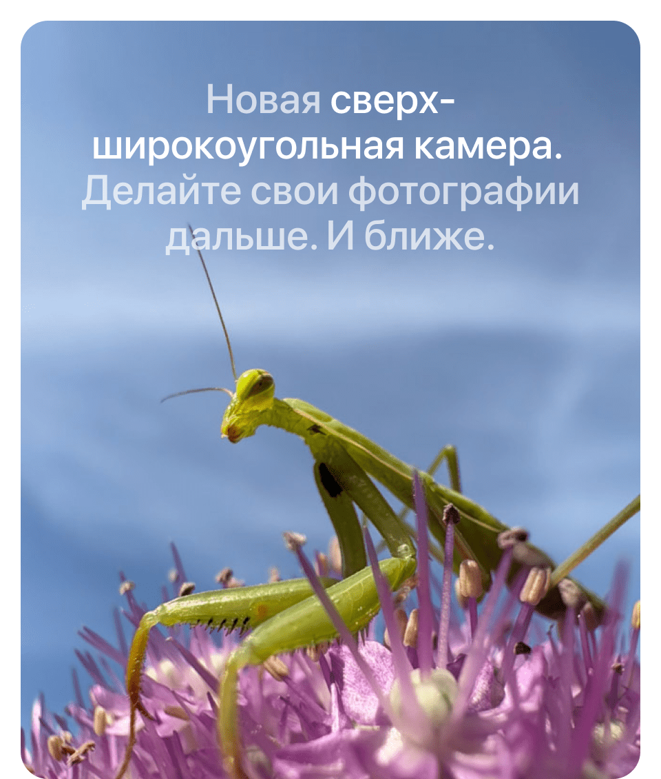 Apple iPhone 16 SIM + eSIM, 512 Гб, Белый (Без RuStore) - 12