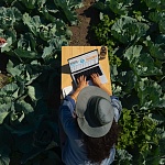 Apple MacBook Pro 14" (M4, 2024), 16 ГБ/1 Тб, Серебро