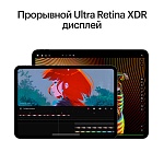 Apple iPad Pro M4 (2024) 13" дюймов, wi-fi, 512 Гб, Чёрный космос (Без RuStore)