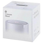 Умная колонка Яндекс Станция Мини 2, Opal Grey
