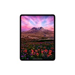 Apple iPad Pro M5 (2025) 13" дюймов, wi-fi, 2 Тб, Чёрный космос (Без RuStore)