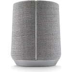 Беспроводная акустика Harman Kardon Citation 300, Grey