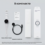 Смарт-часы Samsung Galaxy Watch 6 Classic LTE, 43 мм серебро