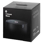 Умная колонка Яндекс Станция Мини 2, Onyx Black